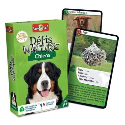 Dog Nature Challenges - French