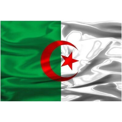 Bandera Argelia 90X150Cm