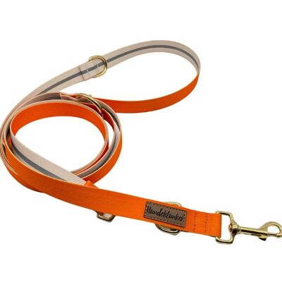 Correa para perros Pumpkin (rPet) 3m oro/plata