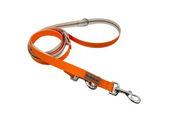 Laisse pour chien Citrouille (rPet) 3m or/argent 3