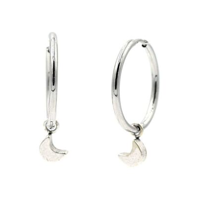 Stainless steel earring 11 hoops with pendant