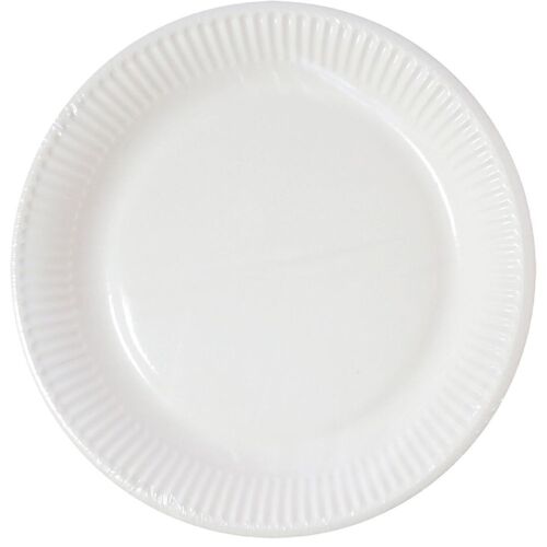 10 Assiettes Blanches Carton Compostable