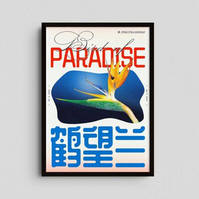 Giclée-Kunstdruck - Paradiesvogel - Epi.Zu.Mich