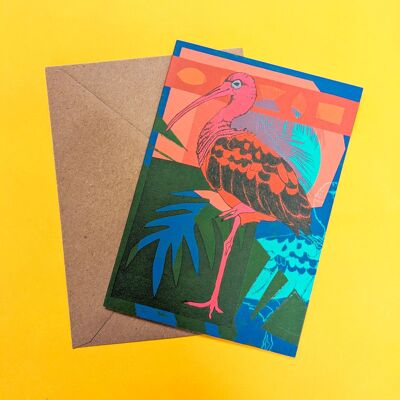 Scarlet Ibis Grußkarte