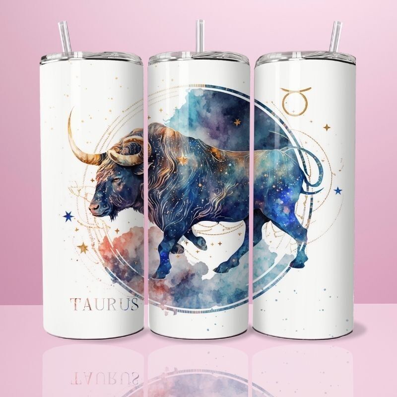 Toro - Thermos 590ml