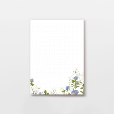Notizblock 50 Blatt DIN A6 Dot Grid, Strandflieder Blumen Illustration, PEFC zertifiziert