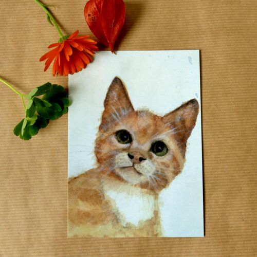Greeting card Kitten