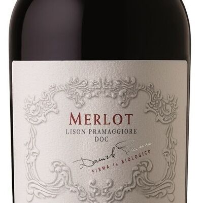 MERLOT CANTASTORIE BIO