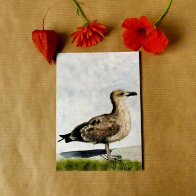 Greeting card Seagull