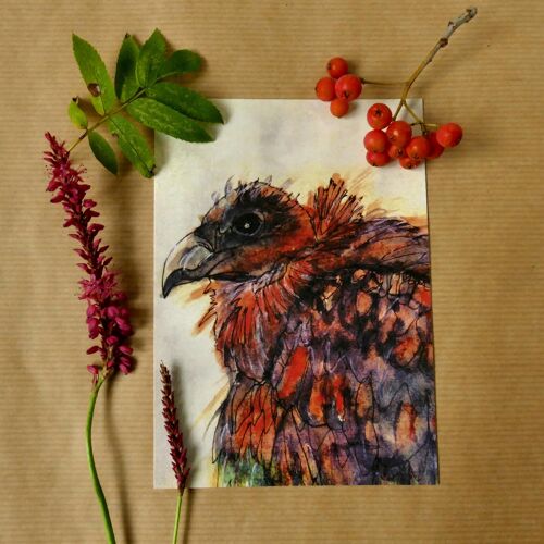 Greeting card Bird of prey