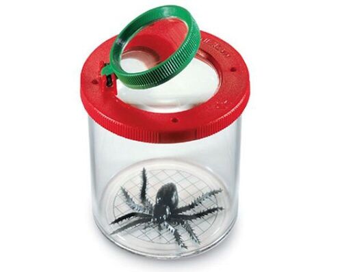 World's Best Bug Viewer Display 12 pcs