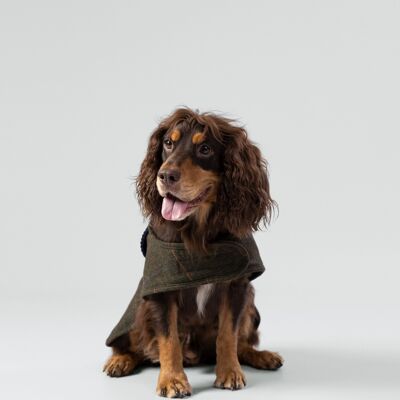 Hackett x Hugo & Hudson – Hundejacke aus Tweed mit Karomuster und Fischgrätenmuster in Dunkelgrün