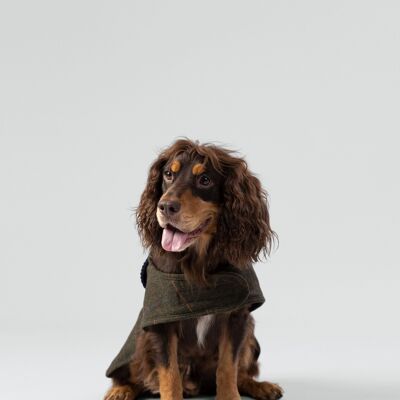 Hackett x Hugo & Hudson Veste pour chien en tweed à chevrons à carreaux vert foncé