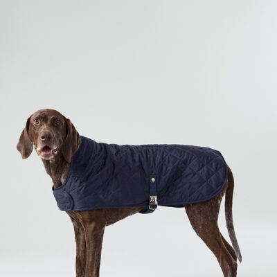 Hackett x Hugo Hudson Navy Quilted Dog Jacket