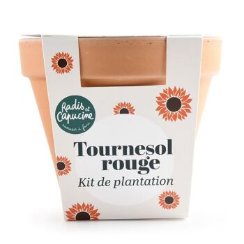 Pot Terre cuite Antique - Tournesol rouge 4