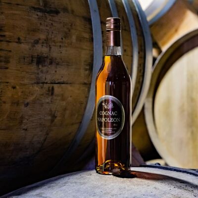 Coñac Napoleón 70 cl