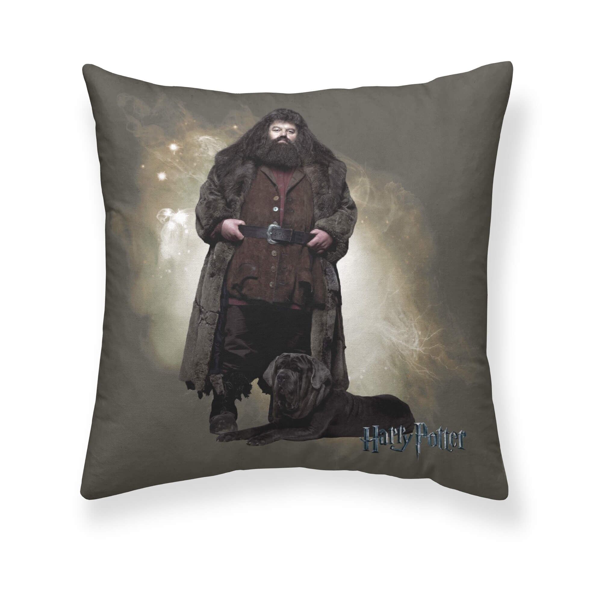 Federa Harry Potter Hagrid A 65x65 cm