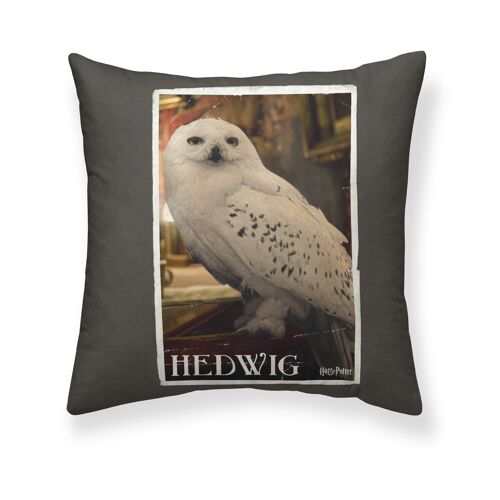 Funda de almohada Harry Potter Hedwig Partner A 65x65 cm