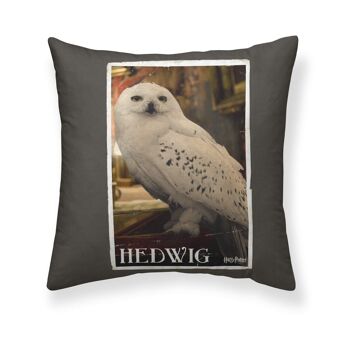 Taie d'oreiller Harry Potter Hedwig Partner A 65x65 cm 2