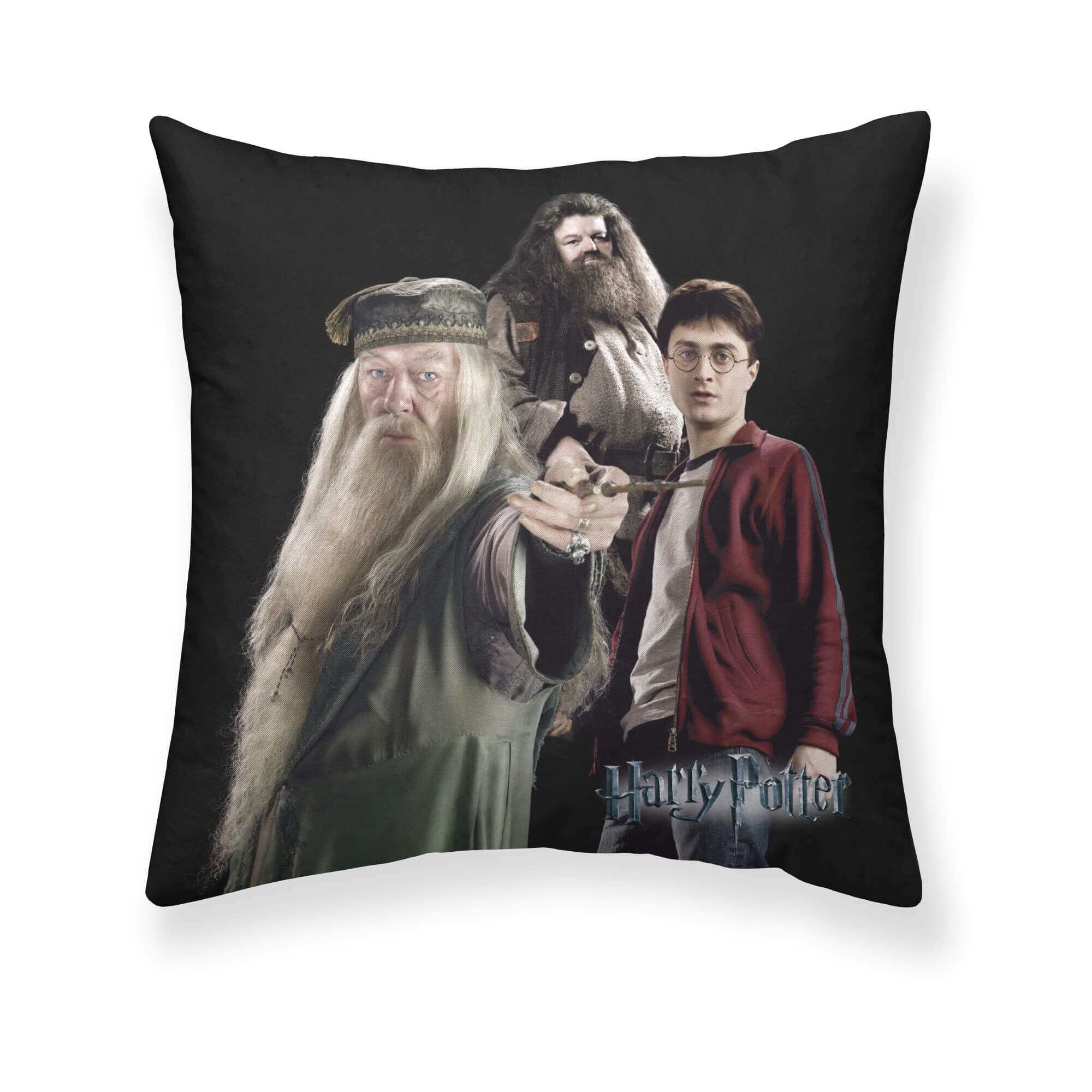 Funda de almohada microsatén Harry Team A 65x65 cm