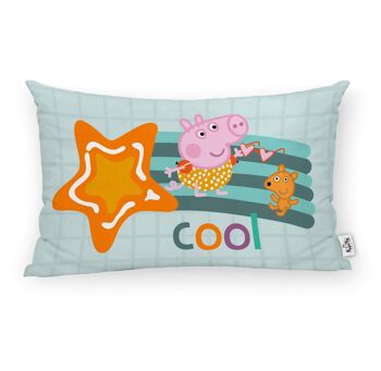 Housse de coussin 100% coton 30x50cm Cool 1 C 1