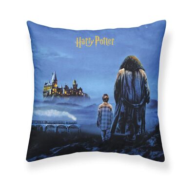 Fodera per cuscino Pietra Filosofale A 50X50 cm Harry Potter