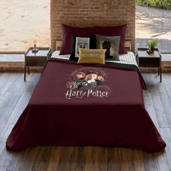 Housse de couette Harry Potter microsatin Gryffondor Bond 2