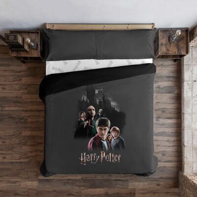 Harry Potter Rivalry Bettbezug aus Mikrosatin