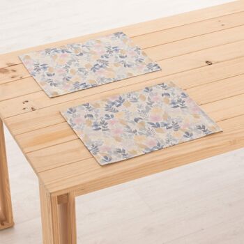 Set de table en lin 0120-274 - 45x35 cm (2 pcs.)   1