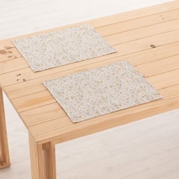 Set de table en lin 0120-275 - 45x35 cm (2 pcs.)   1