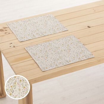 Set de table en lin 0120-275 - 45x35 cm (2 pcs.)   2