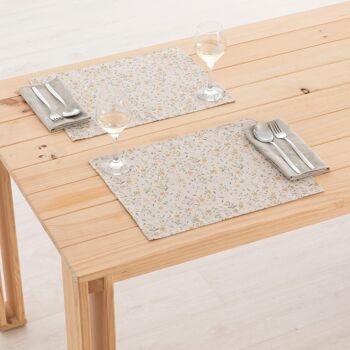 Set de table en lin 0120-275 - 45x35 cm (2 pcs.)   3