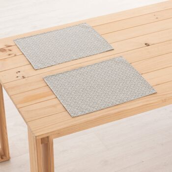 Set de table en lin 0120-276 - 45x35 cm (2 pcs.)   1