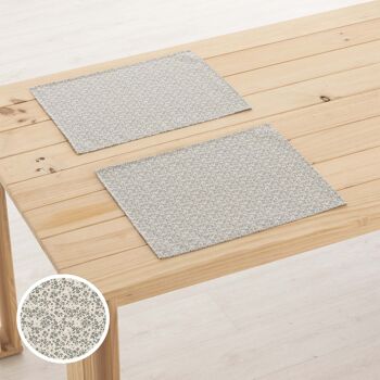 Set de table en lin 0120-276 - 45x35 cm (2 pcs.)   2