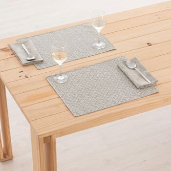 Set de table en lin 0120-276 - 45x35 cm (2 pcs.)   3