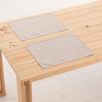 Set de table en lin 0120-277 - 45x35 cm (2 pcs.)   1