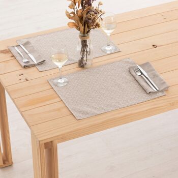 Set de table en lin 0120-277 - 45x35 cm (2 pcs.)   3