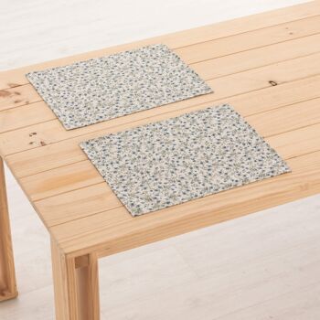 Set de table en lin 0120-281 - 45x35 cm (2 pcs.)   1