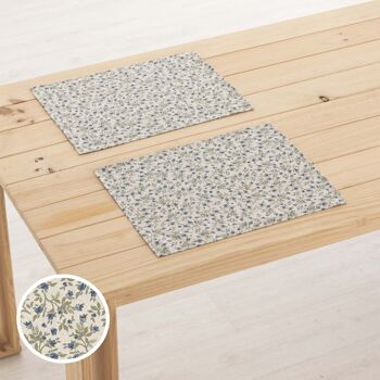 Set de table en lin 0120-281 - 45x35 cm (2 pcs.)   2