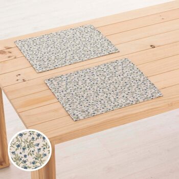 Set de table en lin 0120-281 - 45x35 cm (2 pcs.)   5