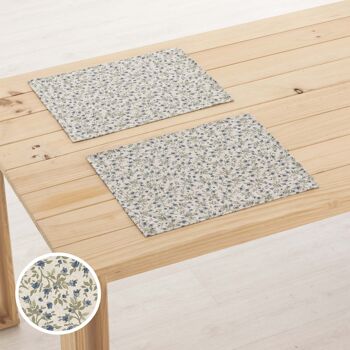 Set de table en lin 0120-281 - 45x35 cm (2 pcs.)   9