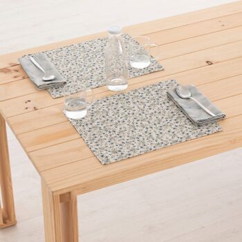 Set de table en lin 0120-281 - 45x35 cm (2 pcs.)   10