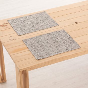 Set de table en lin 0120-280 - 45x35 cm (2 pcs.)   1