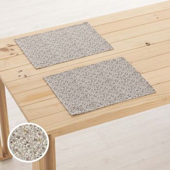 Set de table en lin 0120-280 - 45x35 cm (2 pcs.)   2