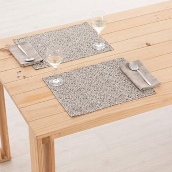 Set de table en lin 0120-280 - 45x35 cm (2 pcs.)   3