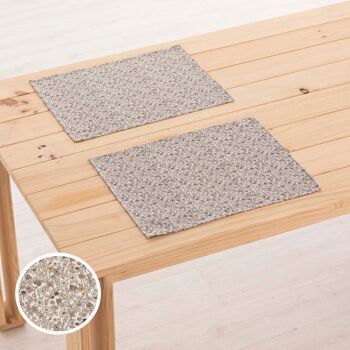 Set de table en lin 0120-280 - 45x35 cm (2 pcs.)   5