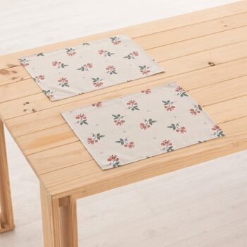 Set de table en lin 0120-284 - 45x35 cm (2 pcs.)   1