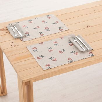 Set de table en lin 0120-284 - 45x35 cm (2 pcs.)   3