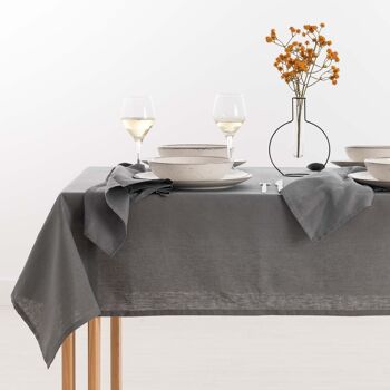 Nappe 100% Lin Anthracite 1