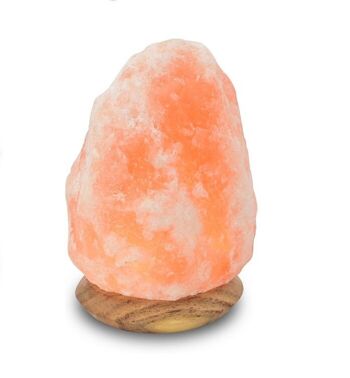 Lampe Himalaya Salt Dreams pied en bois de sel de l'Himalaya – 42004 – 18 cm de haut – orange